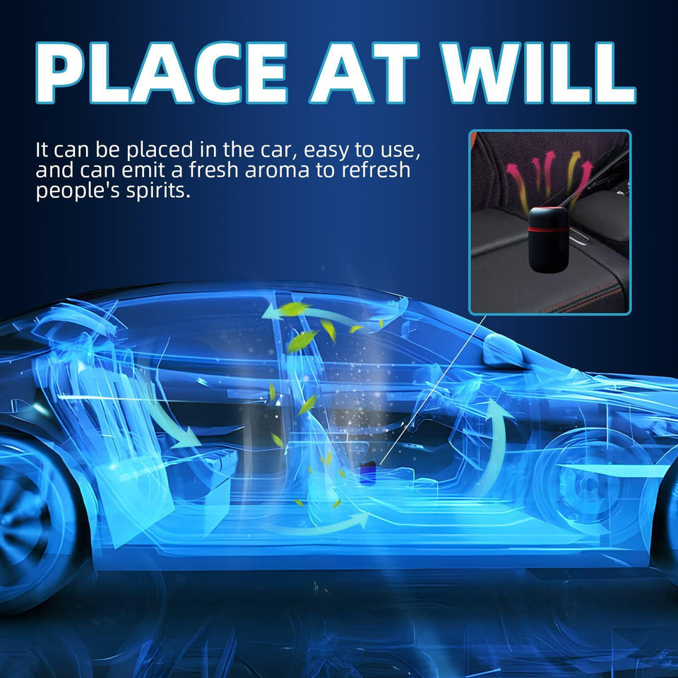 Car Snow Removal De-icing Machine